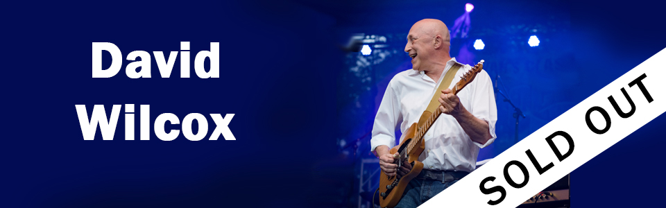 David Wilcox - sold out