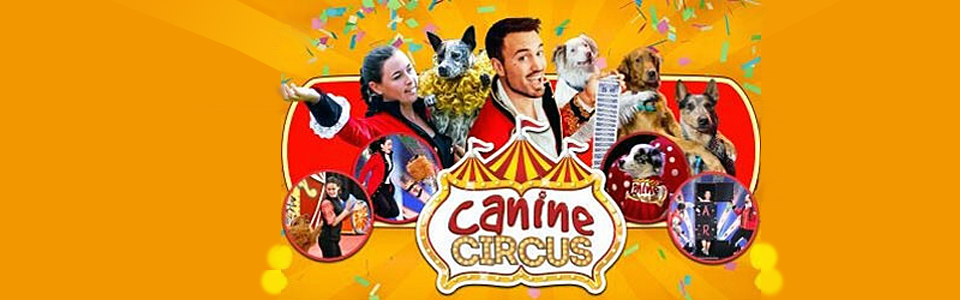 The Canine Circus - Bone-Dropping Fun