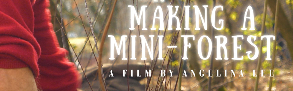 Making A Mini Forest - A Film by Angelina Lee and Narrated by Hannah Lewis