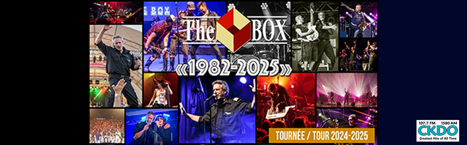 The BOX - Still Alive & Kicking