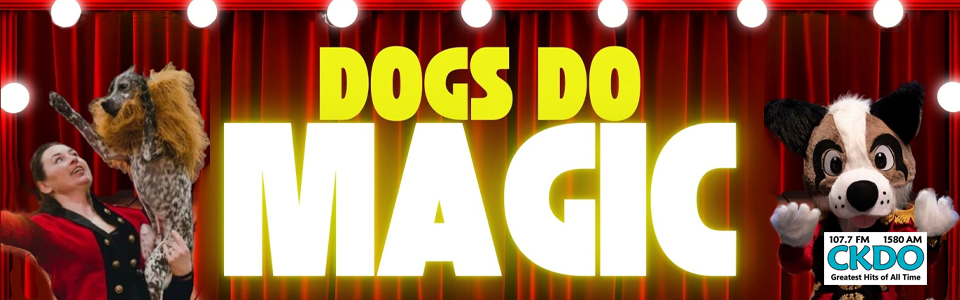 dogs-do-magic-slide-ckdo Dogs Do Magic